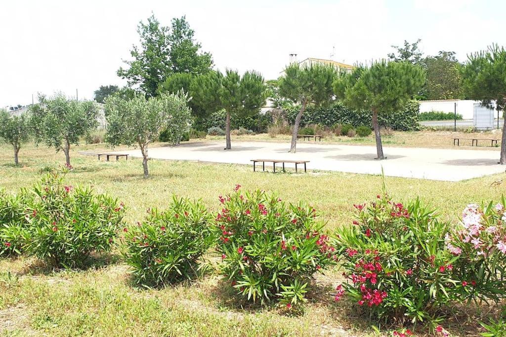 Un Bol D'Air Frais Et De Soleil Entre Campagne Et Plage Villa เบซิเยร์ ภายนอก รูปภาพ